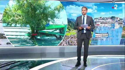 Haut-Rhin : les producteurs de mirabelles inquiets pour l'avenir