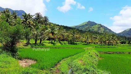 Mekkarai || Thenkasi District || Adavi Nayinar Dam || Dharmadurai-Entha pakkam ponaalum shooting spot