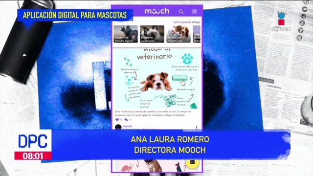 MOOCH: Una aplicación para ayudarte a cuidar mejor a tus mascotas