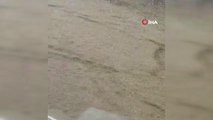 Kayseri'de 50 haneli mahalleyi sel bastı: Sel suları hayvanları telef etti, tarladaki mahsuller zarar gördü