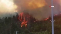 Son dakika haber... İsrail'in Lübnan sınırı yakınında orman yangını
