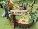 Harry Potter : Coupe du monde de Quidditch online multiplayer - ngc