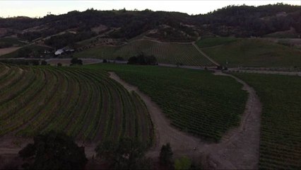 This $95,000 Astrotourism Package in California Wine Country Comes With Private Flights and Over-the-top Accommodations