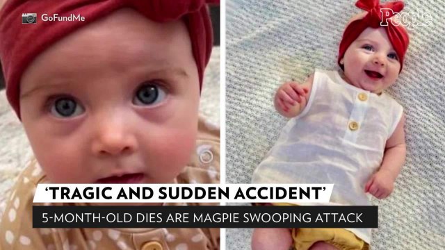 5-Month-Old Dies After Mom Trips While Trying to Avoid Magpie: Pain Is 'Unimaginable,' Says Dad