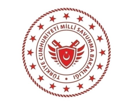 Mehmetçik, sel bölgesinde mahsur kalan 353 vatandaşı helikopterlerle tahliye etti