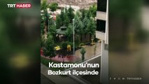 Kastamonu Bozkurt'ta selin ilk anları