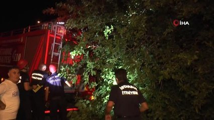 Kartal'da çürük dut ağacı park halindeki aracın üzerine devrildi