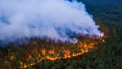 Siberian Wildfire Larger Than All Other Current Wildfires Combined