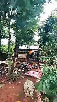 Chàng trai tự giác lên rẫy dựng chòi cách ly