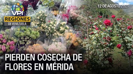 Noticias regiones de Venezuela - Jueves 12 de Agosto