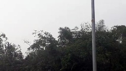 Airbus A330 PR-AIW na aproximação final antes de pousar em Manaus vindo de Campinas