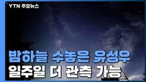 밤하늘 수놓은 화려한 유성우...일주일 더 본다 / YTN