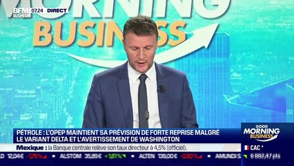 Philippe Chalmin (Université Paris-Dauphine) : L'OPEP maintient sa prévision de reprise - 13/08