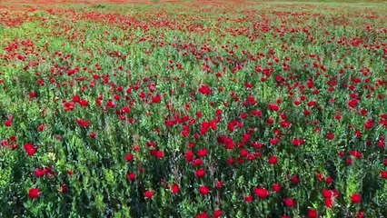 DECRETO  DE  PARA EL MES DE AGOSTO
