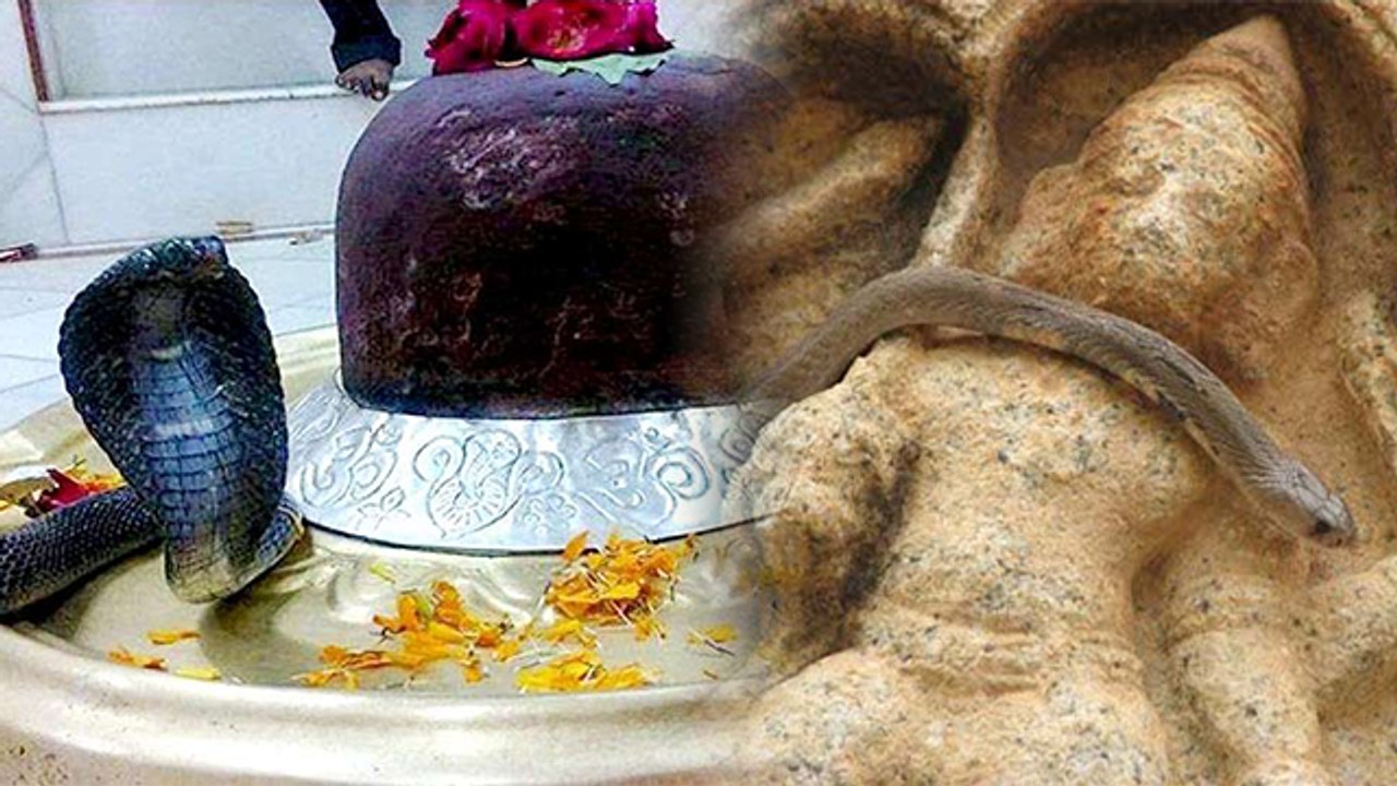 Nag Panchami 2021: India के इन Shiv Mandir में नाग नागिन करते है शिवलिंग की पूजा | Boldsky