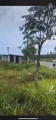 Cô gái hồn nhiên chạy xe vào khu cách ly