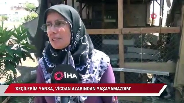 Manavgat'ta canı pahasına yangından küçükbaş hayvanlarını kurtardı: Keçilerim yansa, vicdan azabından yaşayamazdım”
