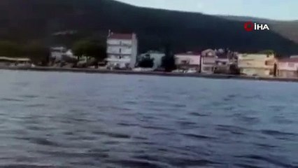 Görüntü Gemlik Körfezi'nden! Müsilajdan sonra şimdi de...