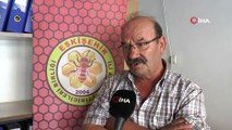Eskişehir Arı Yetiştiricileri Birliği Başkanı Bünyamin Yiğit: Çam balı üretiminin yapıldığı alanların yüzde 70-80’lik bölümünün yandığı haberleri geliyor