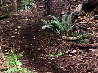 Mountain Bike Rider’s Scary Bear Encounter