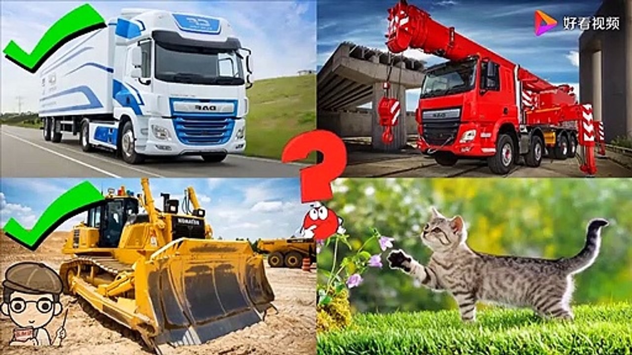 Classroom for entertaining and teaching: Which pictures here are not vehicles?
