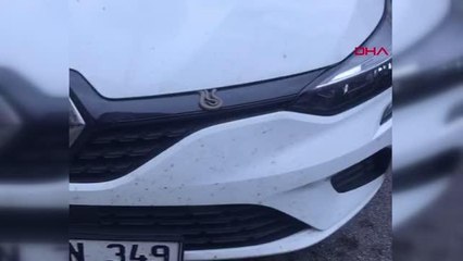 Otomobilin motoruna giren yılan paniğe neden oldu