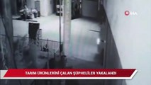 Tarım ürünleri çalan şüpheliler önce güvenlik kamerasına ardından jandarmaya yakalandı