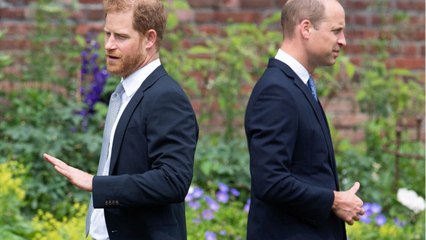 Prince William and Prince Harry have not still reconciled despite joint appearances (1)