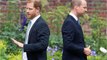 Prince William and Prince Harry have not still reconciled despite joint appearances (1)