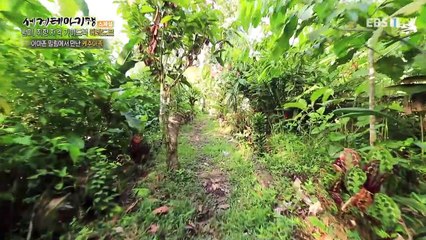 세계테마기행 - 남미, 취향 저격 가이드북- 남미가 한 곳에, 에콰도르_#002