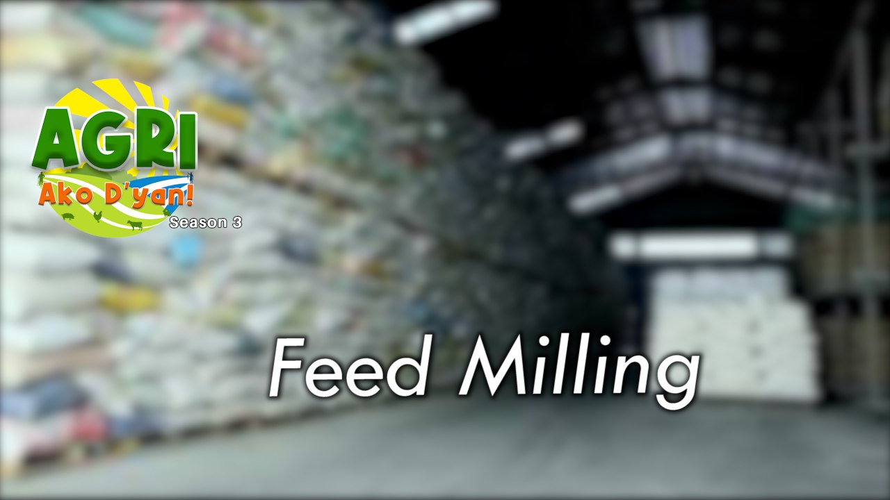 Feed Milling