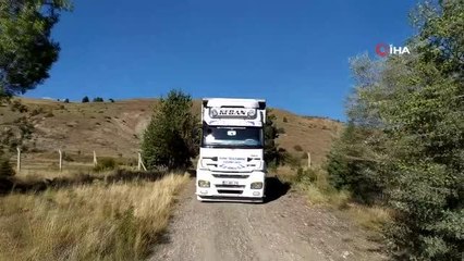 Erzincan'da gölete 100 bin adet yavru sazan bırakıldı