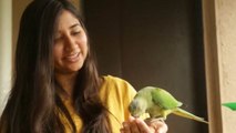 Meet the Pune woman who is friends with 30 parrots