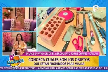 Vuelos internacionales: ¿qué objetos están prohibidos para viajar en avión?