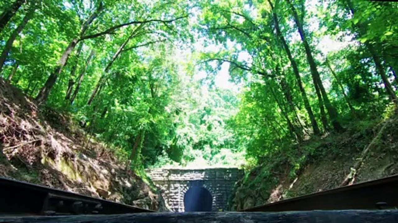 traveling across europe by train _ train-traveling _ hi-speed-train _ vegetation _ _Musafir 15