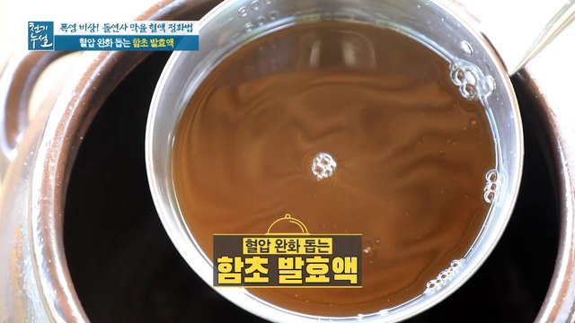 혈압 완화 돕는 [함초 발효액] (ft. 함초 발효액 활용법)