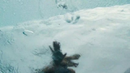 Testing staging video upload by haneef-1