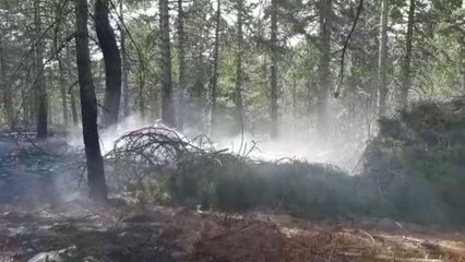 Son dakika haberi! Orman yangını kontrol altına alındı