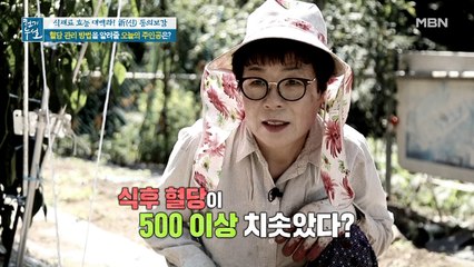 식후 혈당 500 이상? 혈당과의 기나긴 싸움 시작한 사연