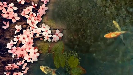 Beautiful Relaxing Japanese Music by Excel Toys Review