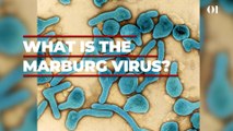 Marburg virus - First case of deadly Ebola-like virus has been detected