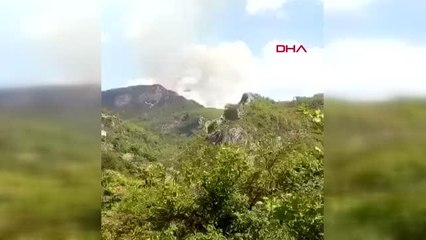 ALANYA'DA ORMANLIK ALANDA YANGIN