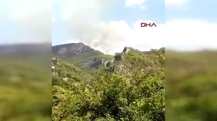 Alanya'da ormanlık alanda yangın