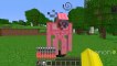 What if you SHEAR A IRON GOLEM in Minecraft - IRON GOLEM ITEMS !!