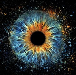 ستوديو Eyemazy بدبي.. مقصد مستكشفي أسرار جمال العيون