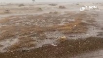 بالفيديو: سقوط برد وأمطار غزيرة في مدينة العين