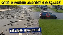 Fish fall from sky cause damages to vehicles | Oneindia Malayalam