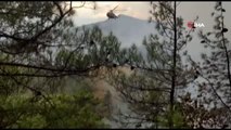 Kahramanmaraş'ta orman yangını: 3 hektar alan zarar gördü