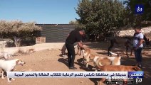كلاب وحيوانات ضالة.. هذا مصيرها في حديقة الطبيعة بفلسطين