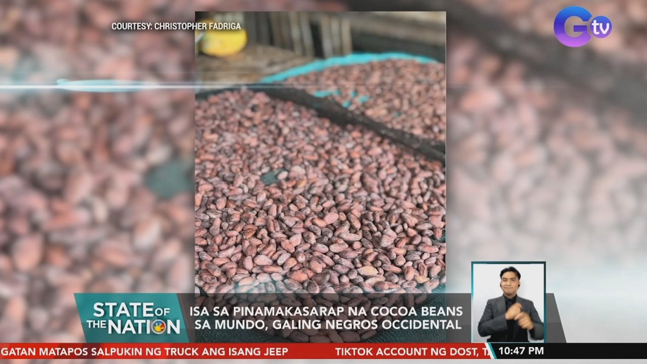 Isa sa pinakamasarap na cocoa beans sa mundo, galing Negros Occidental | SONA
